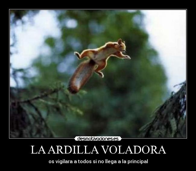LA ARDILLA VOLADORA - os vigilara a todos si no llega a la principal