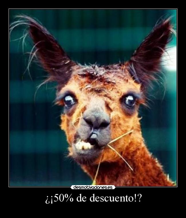 ¿¡50% de descuento!? - 