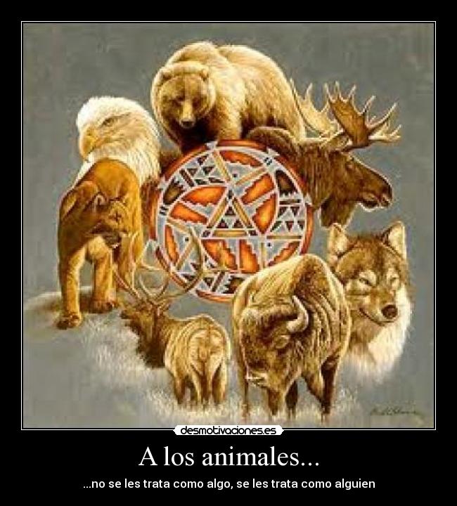 A los animales... - ...no se les trata como algo, se les trata como alguien