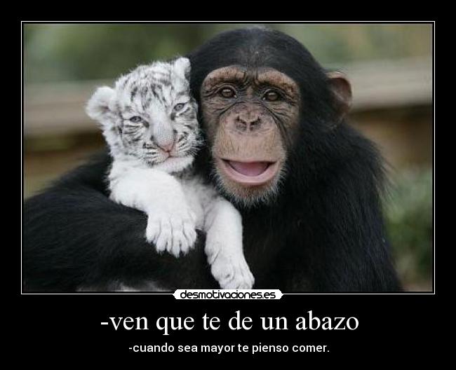 -ven que te de un abazo - -cuando sea mayor te pienso comer.
