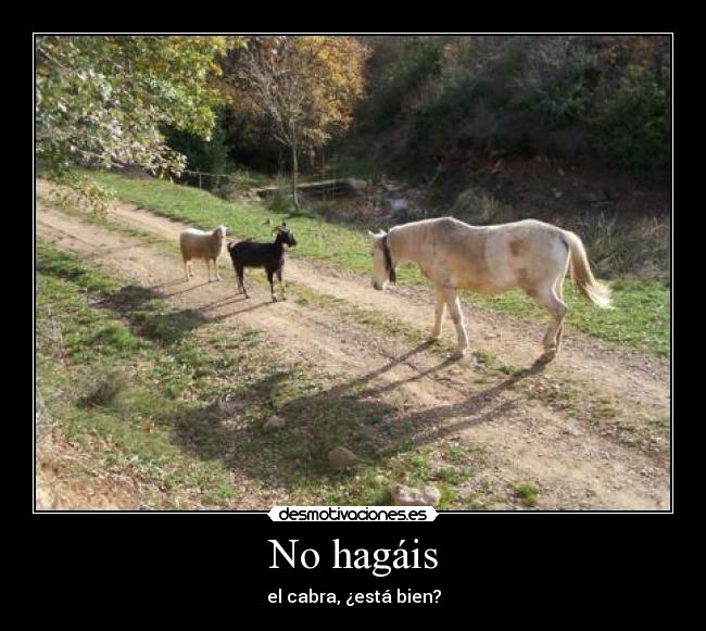 No hagáis -