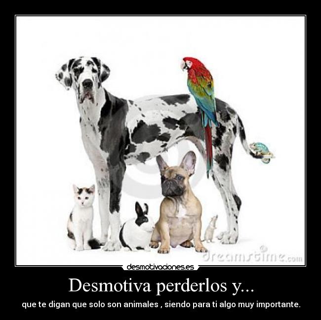 Desmotiva perderlos y... - 