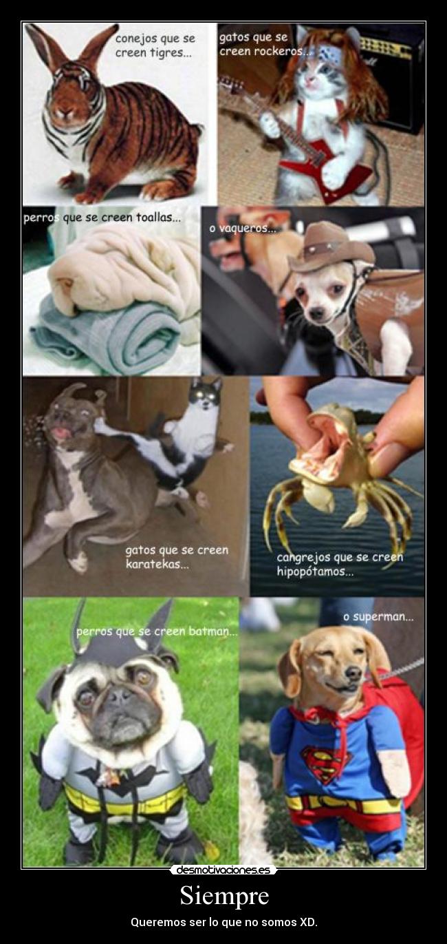 Siempre - Queremos ser lo que no somos XD.