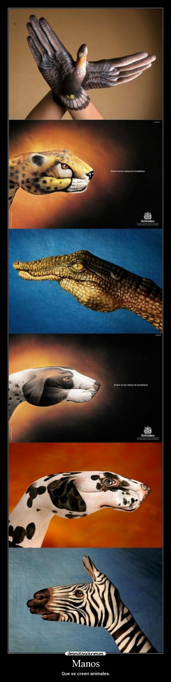 carteles manosanimalesarte desmotivaciones