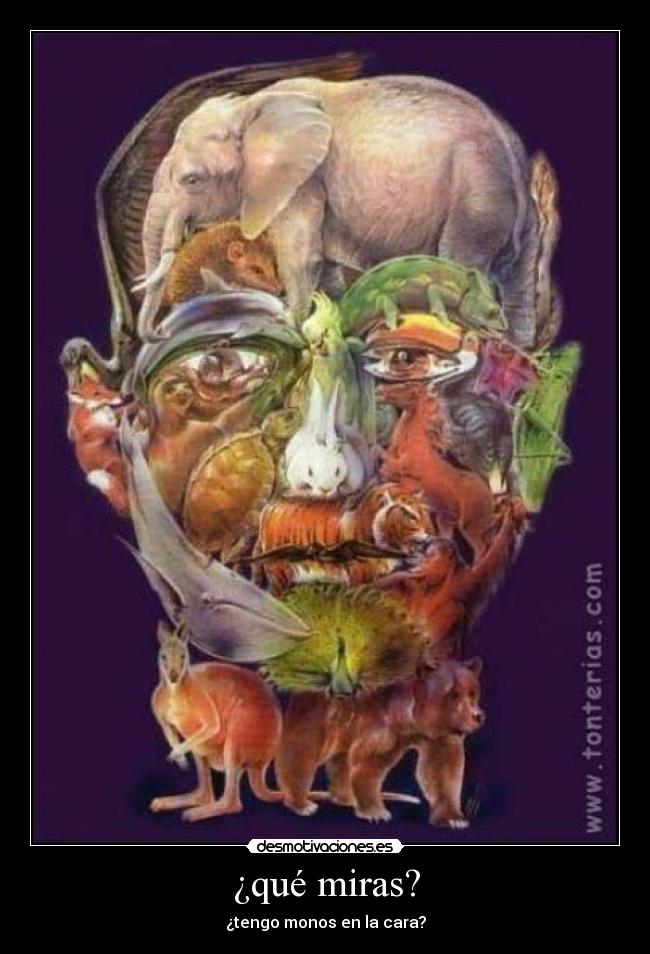 ¿qué miras? - ¿tengo monos en la cara?