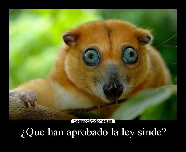 carteles sinde desmotivaciones