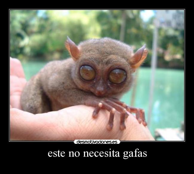 carteles iuihjhh desmotivaciones