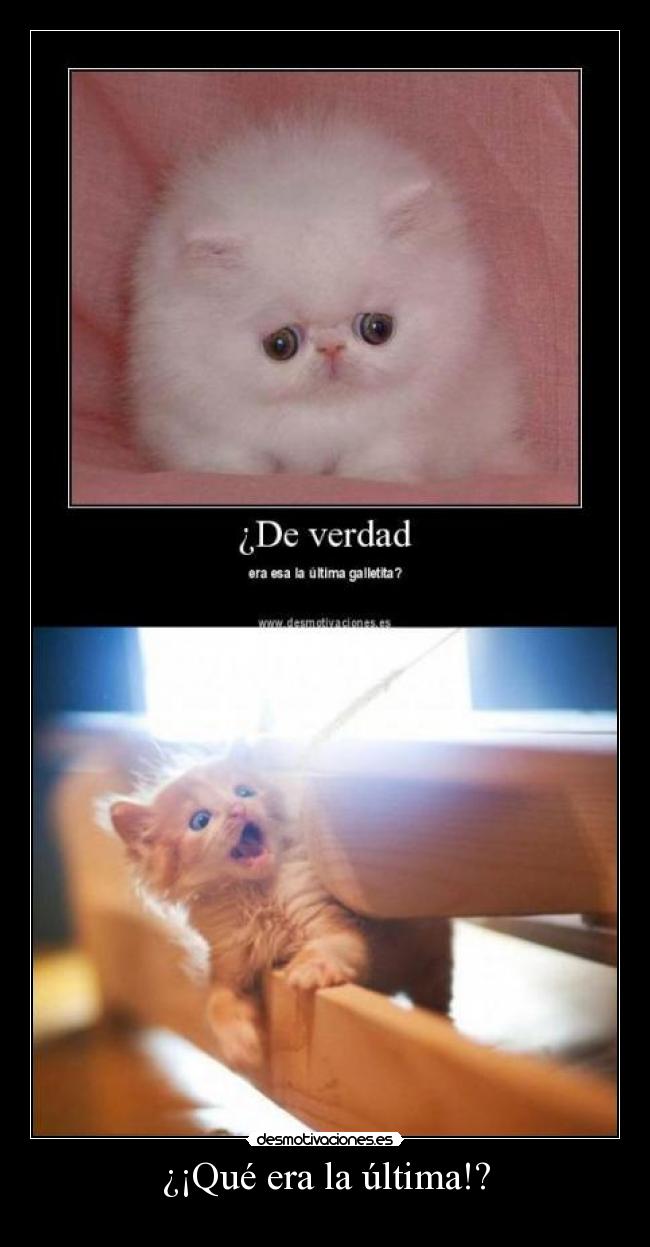 ¿¡Qué era la última!? - 