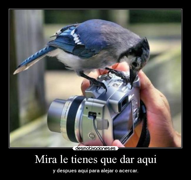 Mira le tienes que dar aqui - y despues aqui para alejar o acercar.