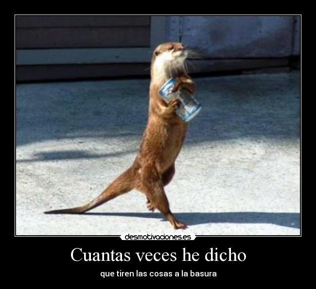 Cuantas veces he dicho - que tiren las cosas a la basura