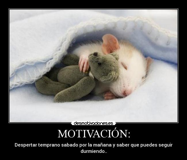 MOTIVACIÓN: - Despertar temprano sabado por la mañana y saber que puedes seguir durmiendo..