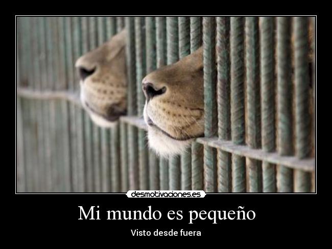Mi mundo es pequeño -