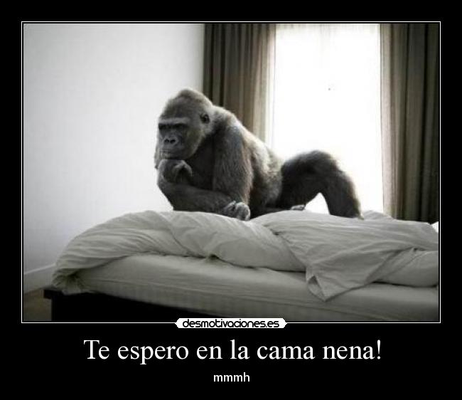 Te espero en la cama nena! - mmmh