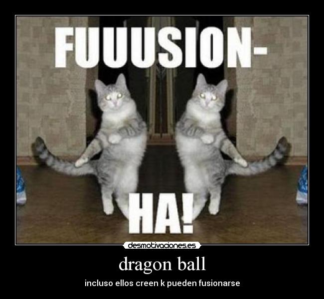 dragon ball - 