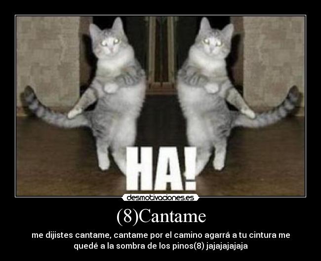 (8)Cantame -