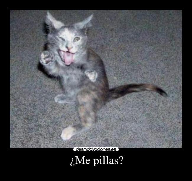 ¿Me pillas? -