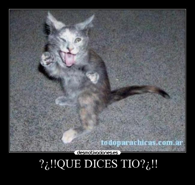 ?¿!!QUE DICES TIO?¿!! -