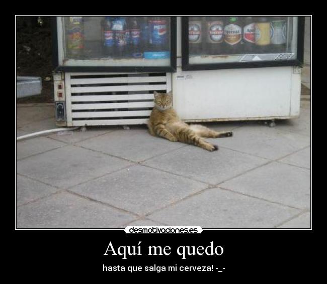 carteles antoniogachero desmotivaciones