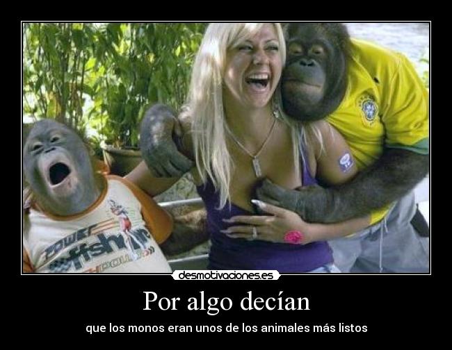 Por algo decían - que los monos eran unos de los animales más listos