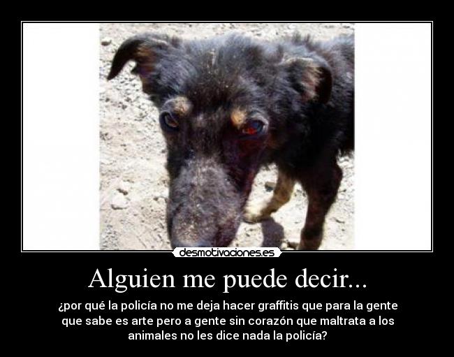 Alguien me puede decir... - 