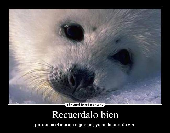 Recuerdalo bien - 