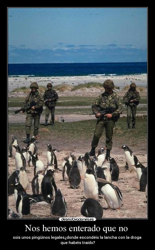 Nos hemos enterado que no -