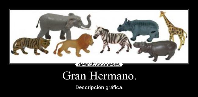 Gran Hermano. - 