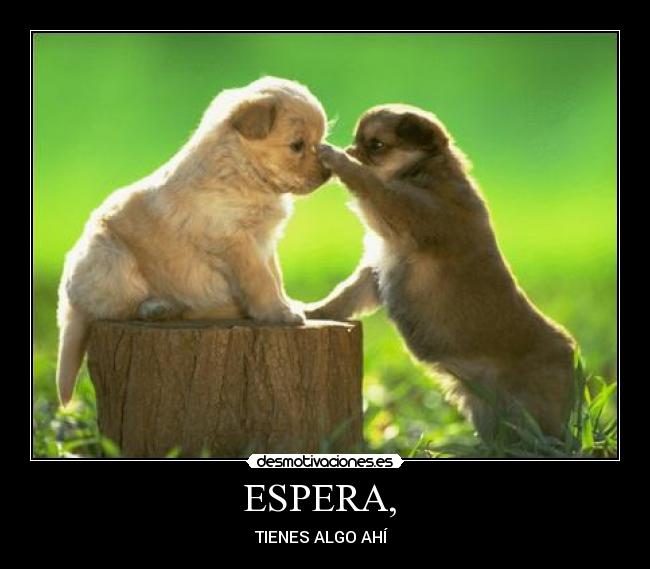 ESPERA, -