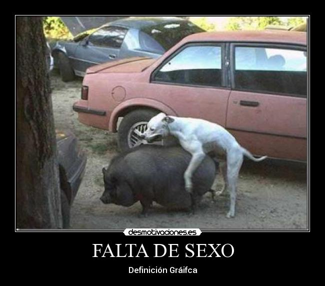 FALTA DE SEXO - Definición Gráifca
