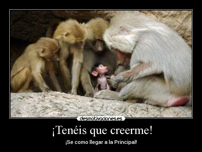 carteles desmotivaciones