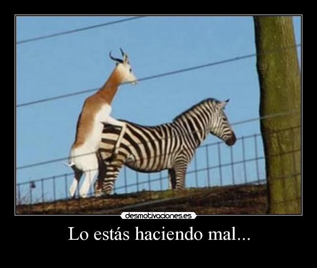 carteles mal desmotivaciones