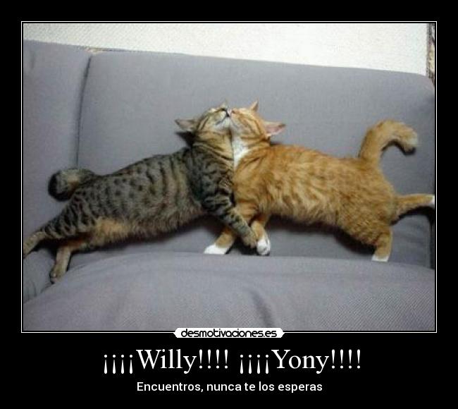 ¡¡¡¡Willy!!!! ¡¡¡¡Yony!!!! - Encuentros, nunca te los esperas