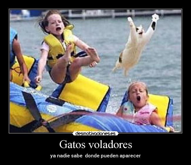 Gatos voladores - 
