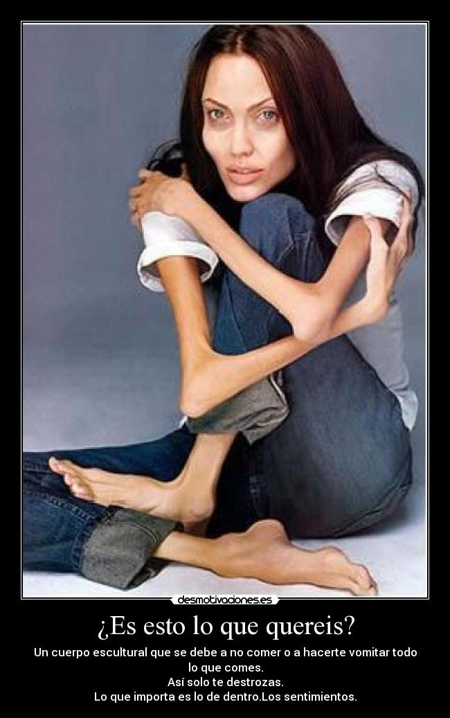 ¿Es esto lo que quereis? - 