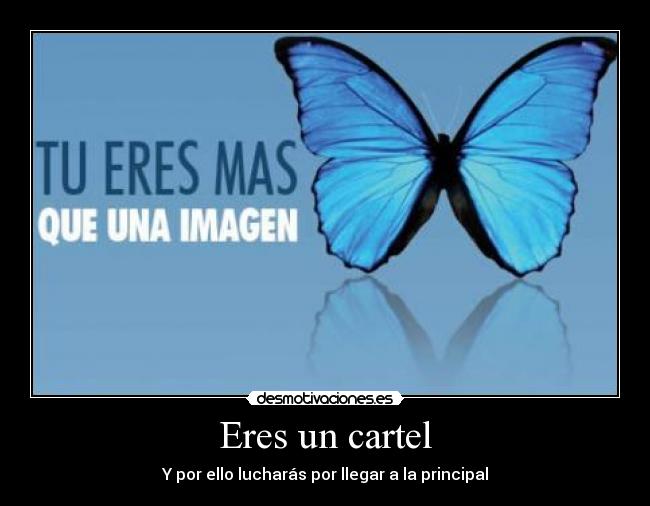 Eres un cartel -