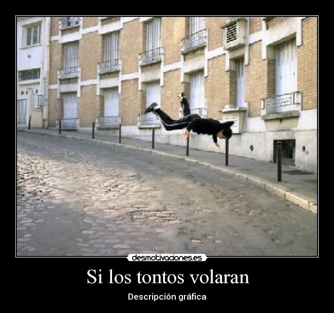 Si los tontos volaran -