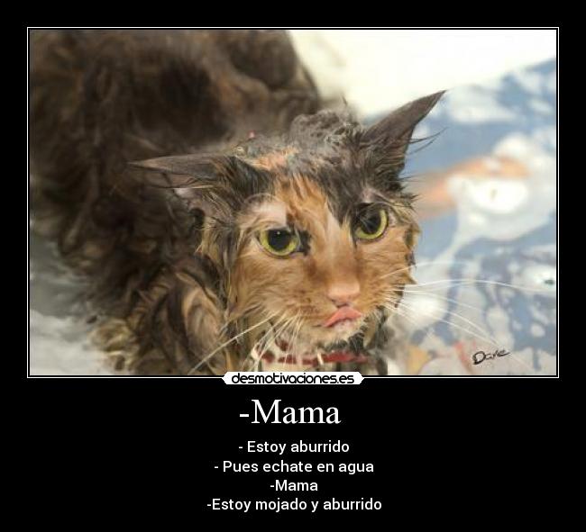 -Mama  - 