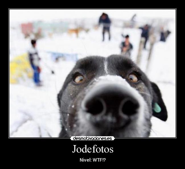 carteles  desmotivaciones