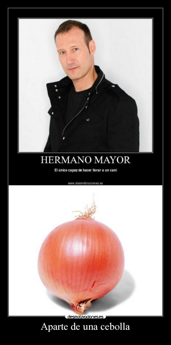 Aparte de una cebolla -