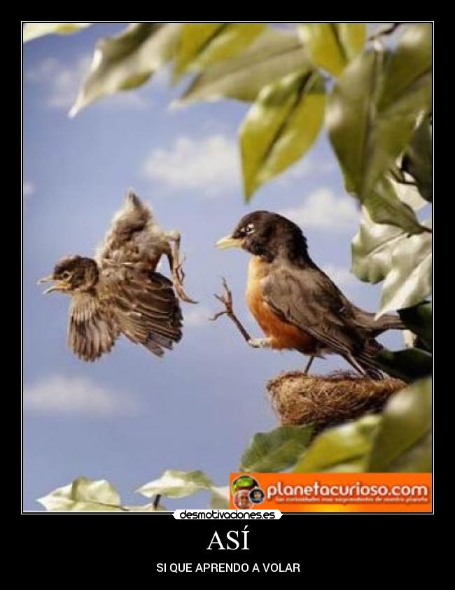ASÍ - SI QUE APRENDO A VOLAR