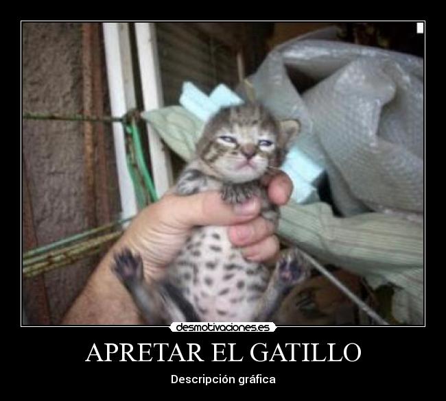 apretarelgatillo.jpg