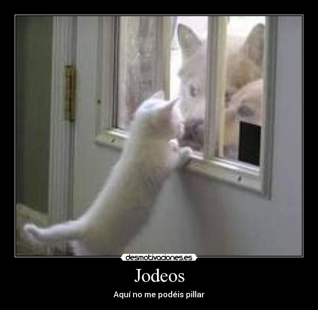 Jodeos -