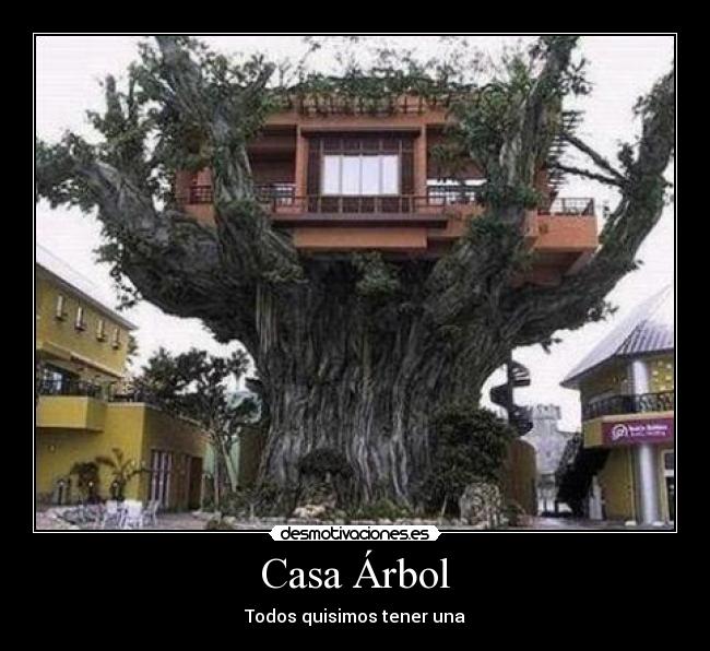 Casa Árbol -