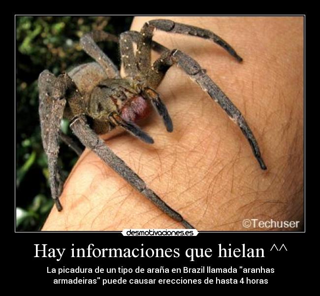 carteles impresionante desmotivaciones