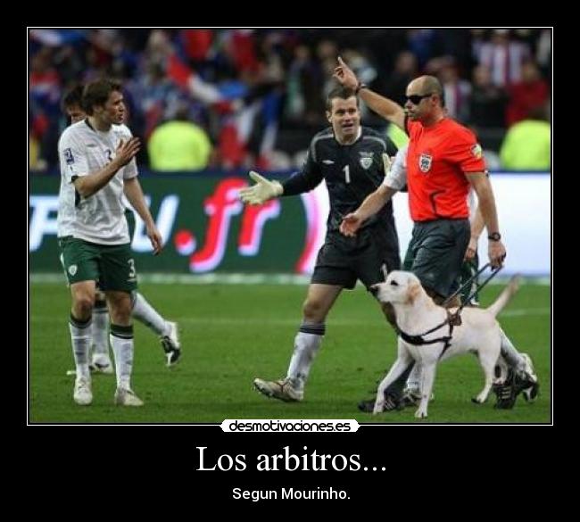 Los arbitros... - 