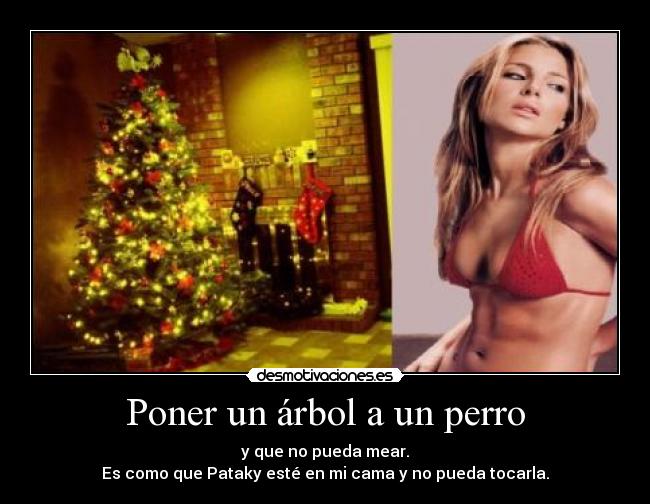 Poner un árbol a un perro - y que no pueda mear.
Es como que Pataky esté en mi cama y no pueda tocarla.