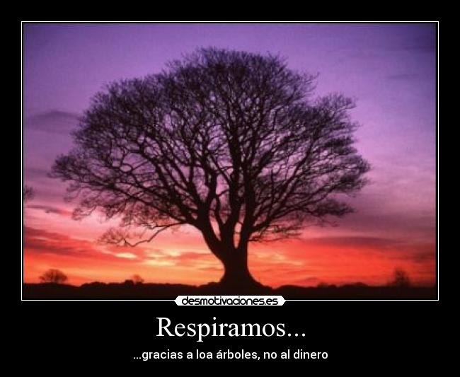 Respiramos... -