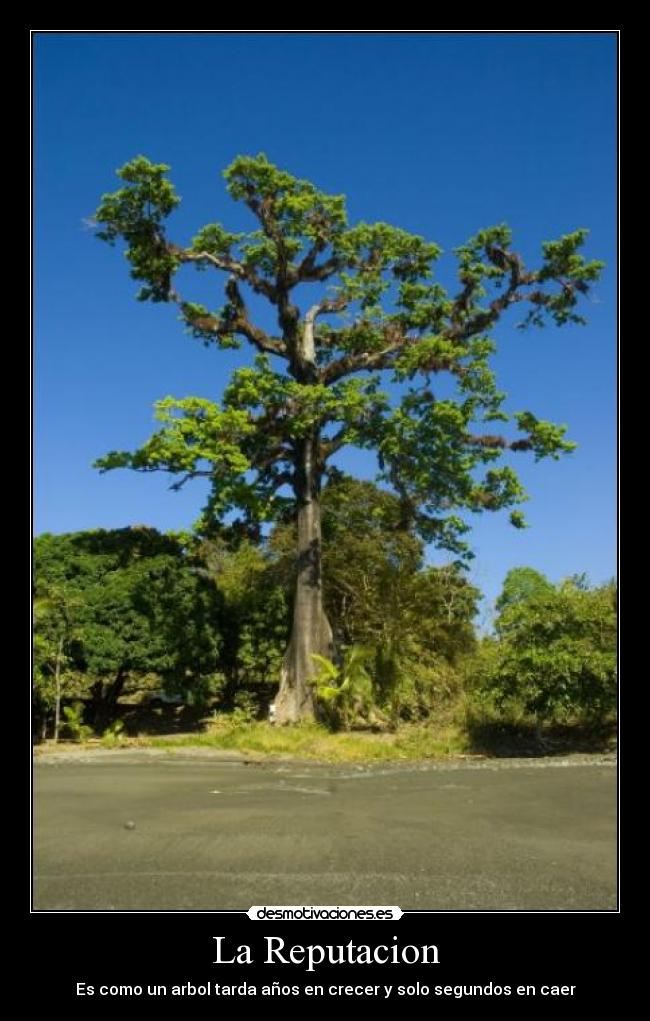 La Reputacion - 