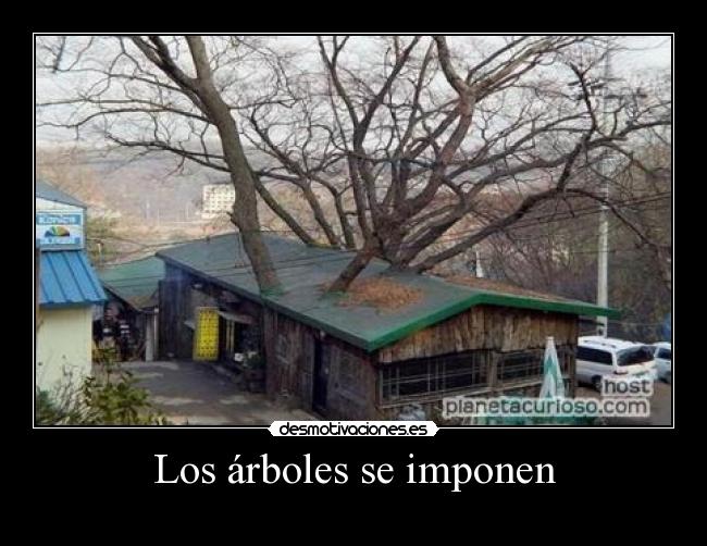 carteles humor desmotivaciones