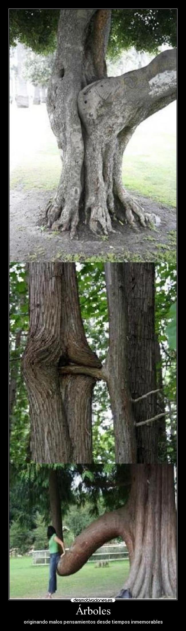 Árboles - originando malos pensamientos desde tiempos inmemorables